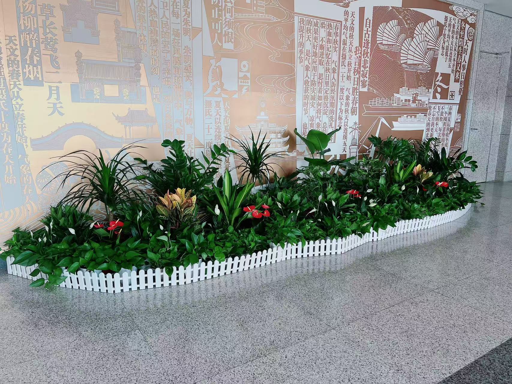 宁波奉化花木出租哪家好